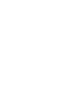 Logo Die Moasta Fiebebrunn - Weiss